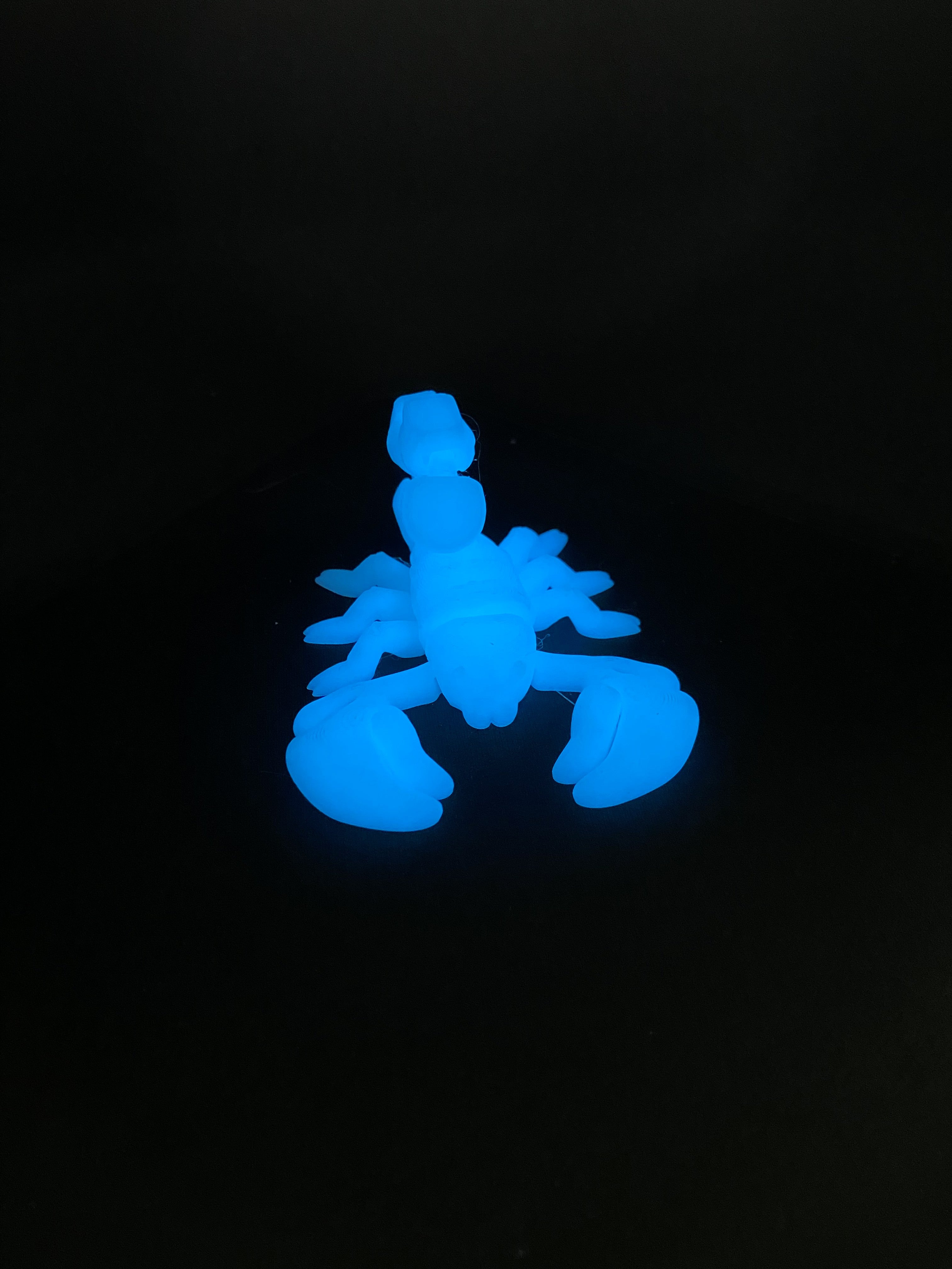 Glow‑in‑the‑Dark Scorpion Fidget – Fluorescent 3D Printed Desk Buddy