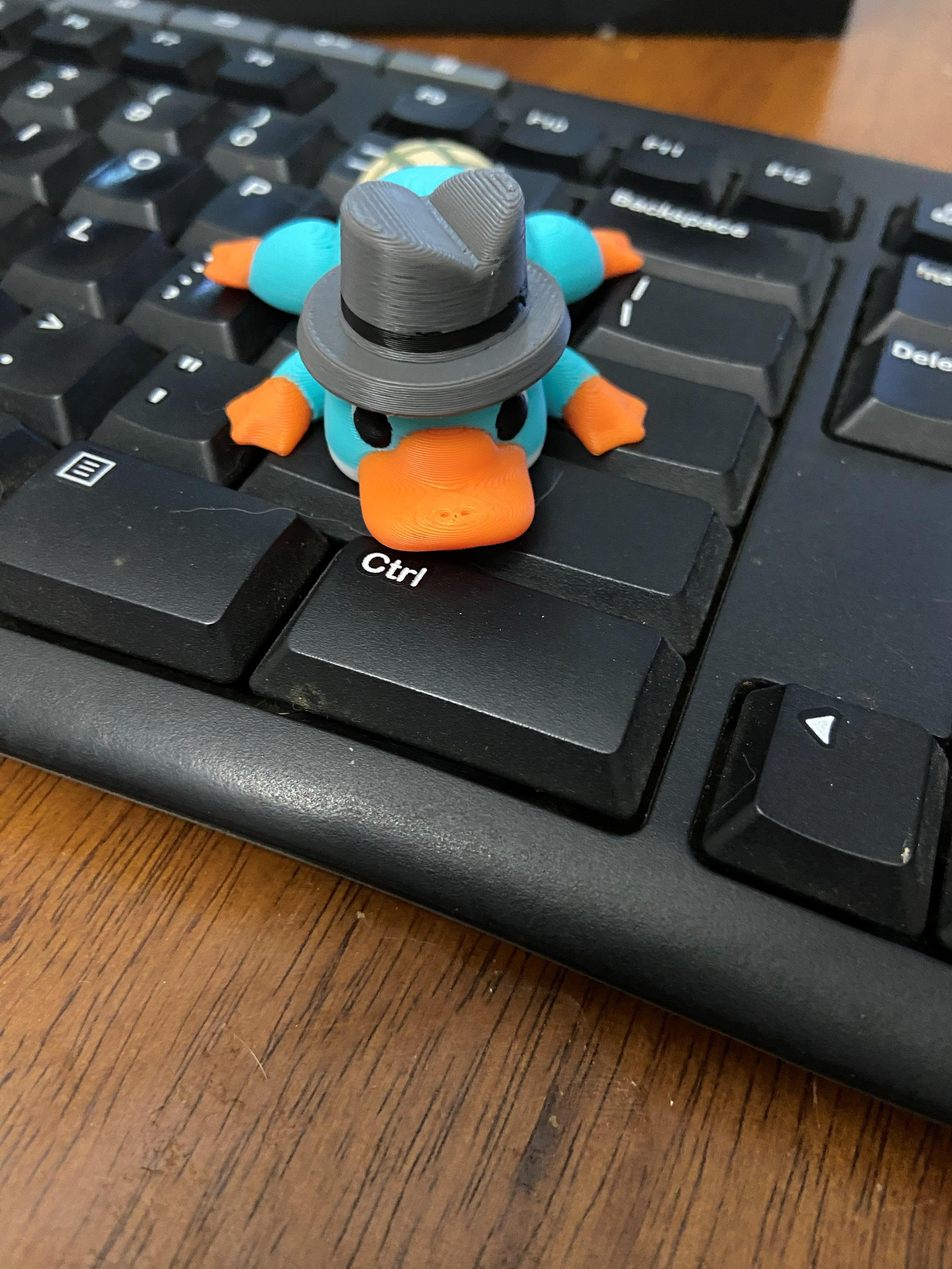 3D Printed Platypus Fidget Toy – Desk Buddy or Keychain (Secret‑Agent Vibes)