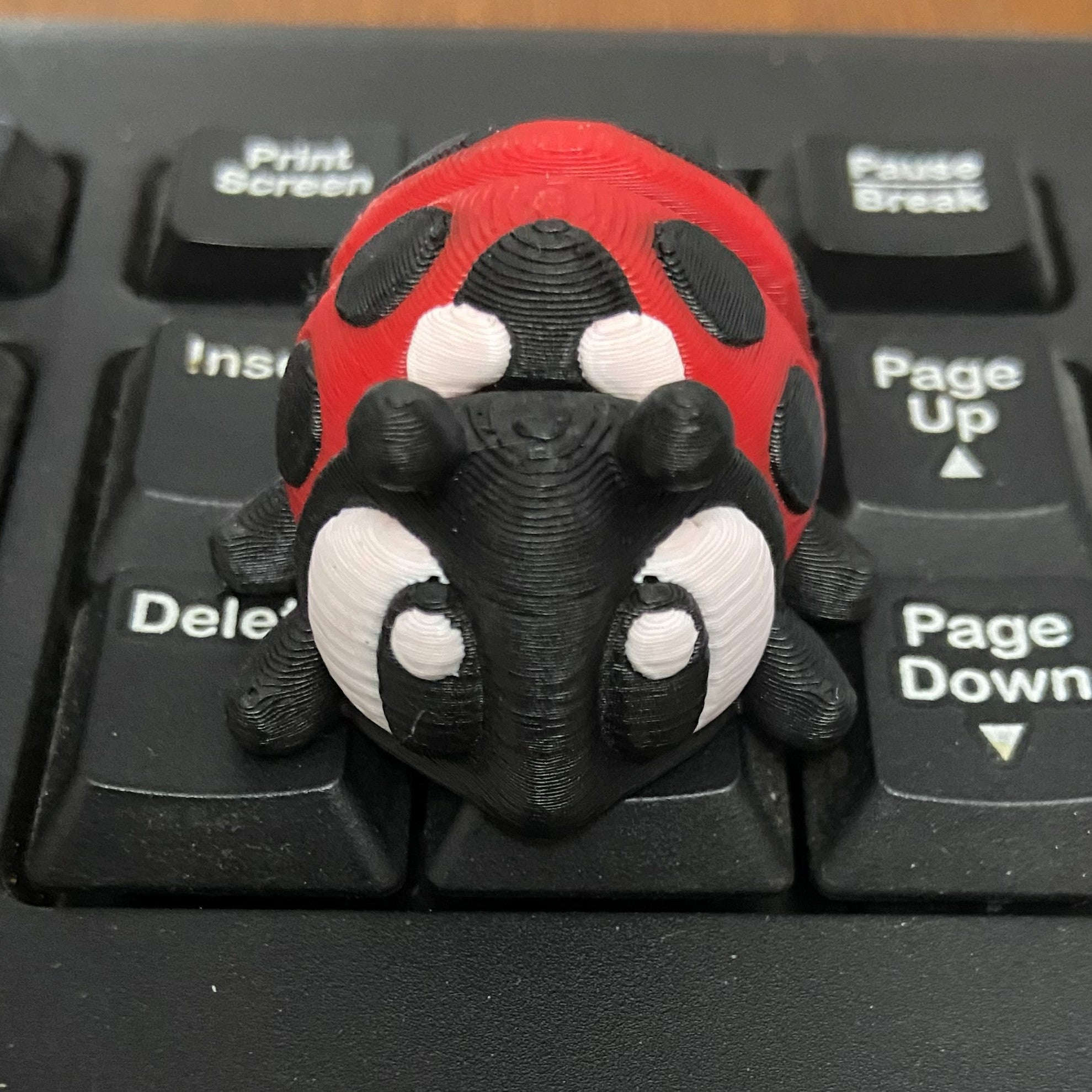 Little Ladybug Fidget -3d Printed Desk Buddy & Keychain