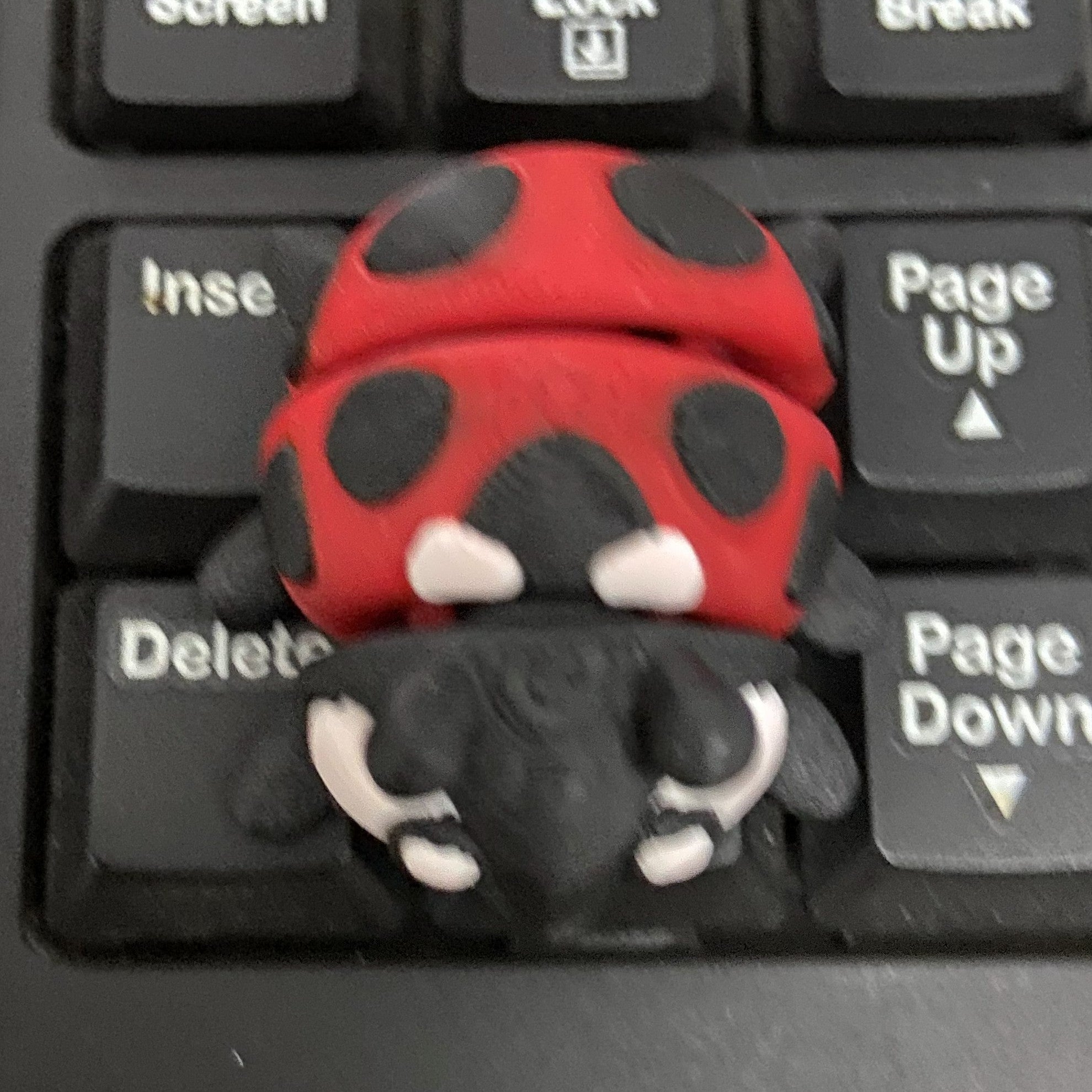 Little Ladybug Fidget -3d Printed Desk Buddy & Keychain