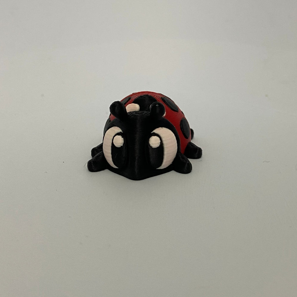 Little Ladybug Fidget -3d Printed Desk Buddy & Keychain