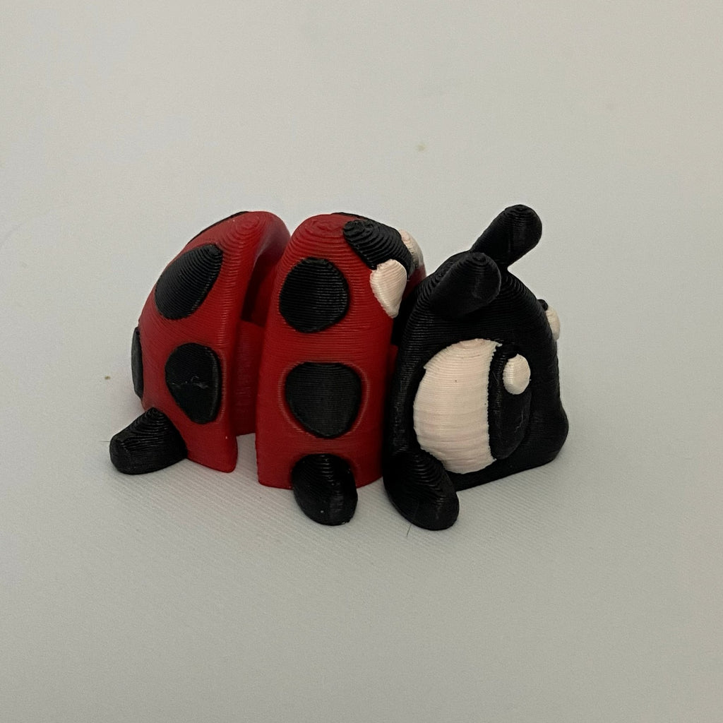 Little Ladybug Fidget -3d Printed Desk Buddy & Keychain