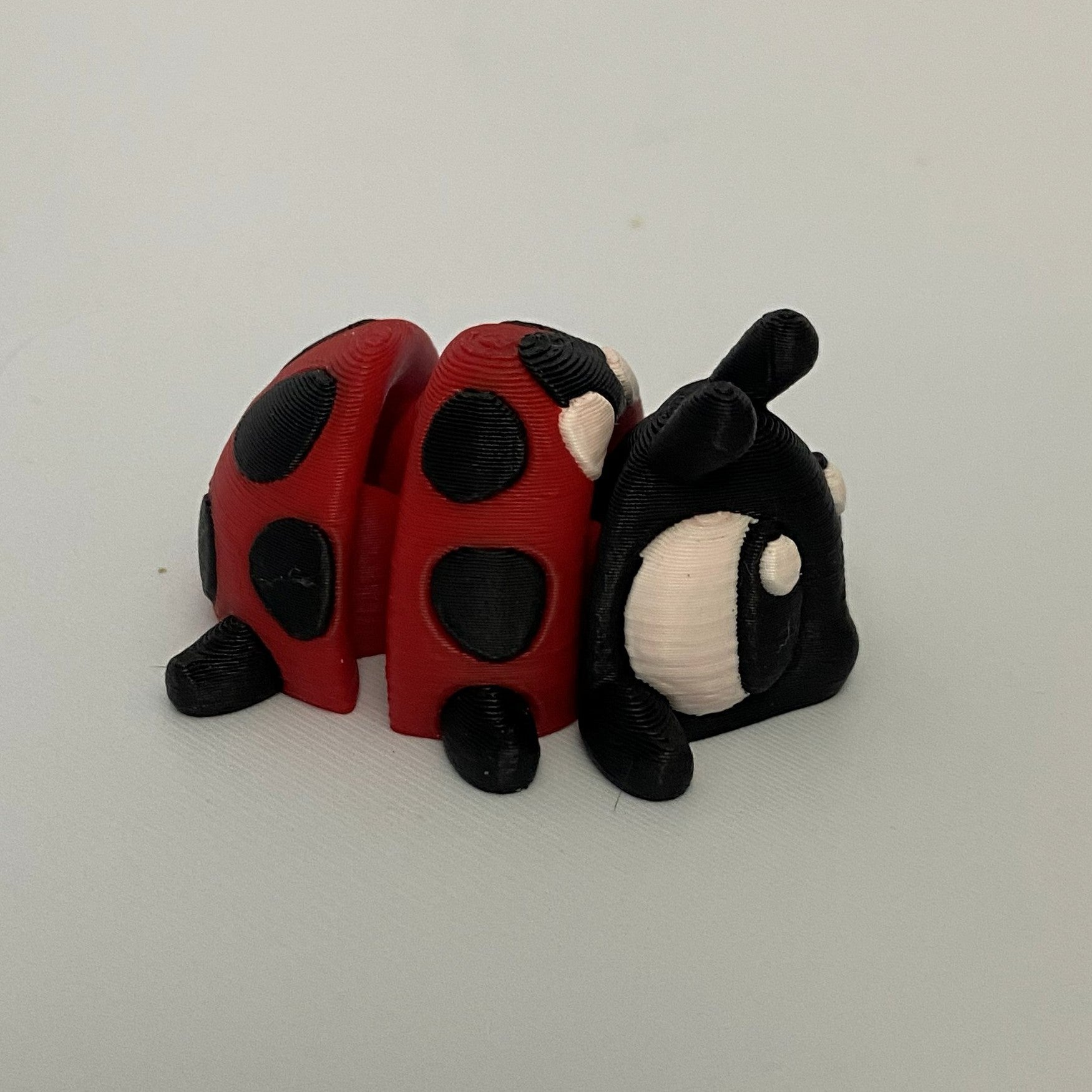 Little Ladybug Fidget -3d Printed Desk Buddy & Keychain