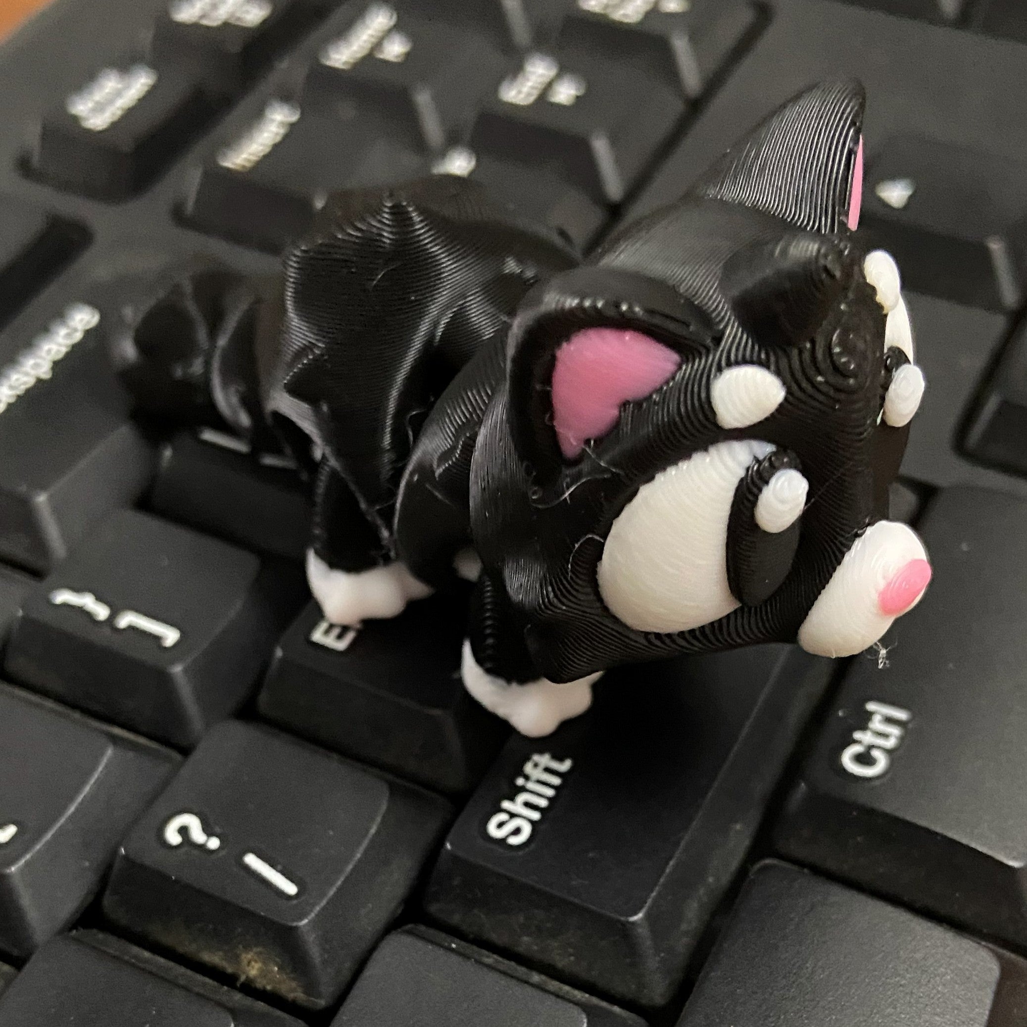 Kitty Corner Kitties -3D Printed Fidget Desk Buddy (without display)