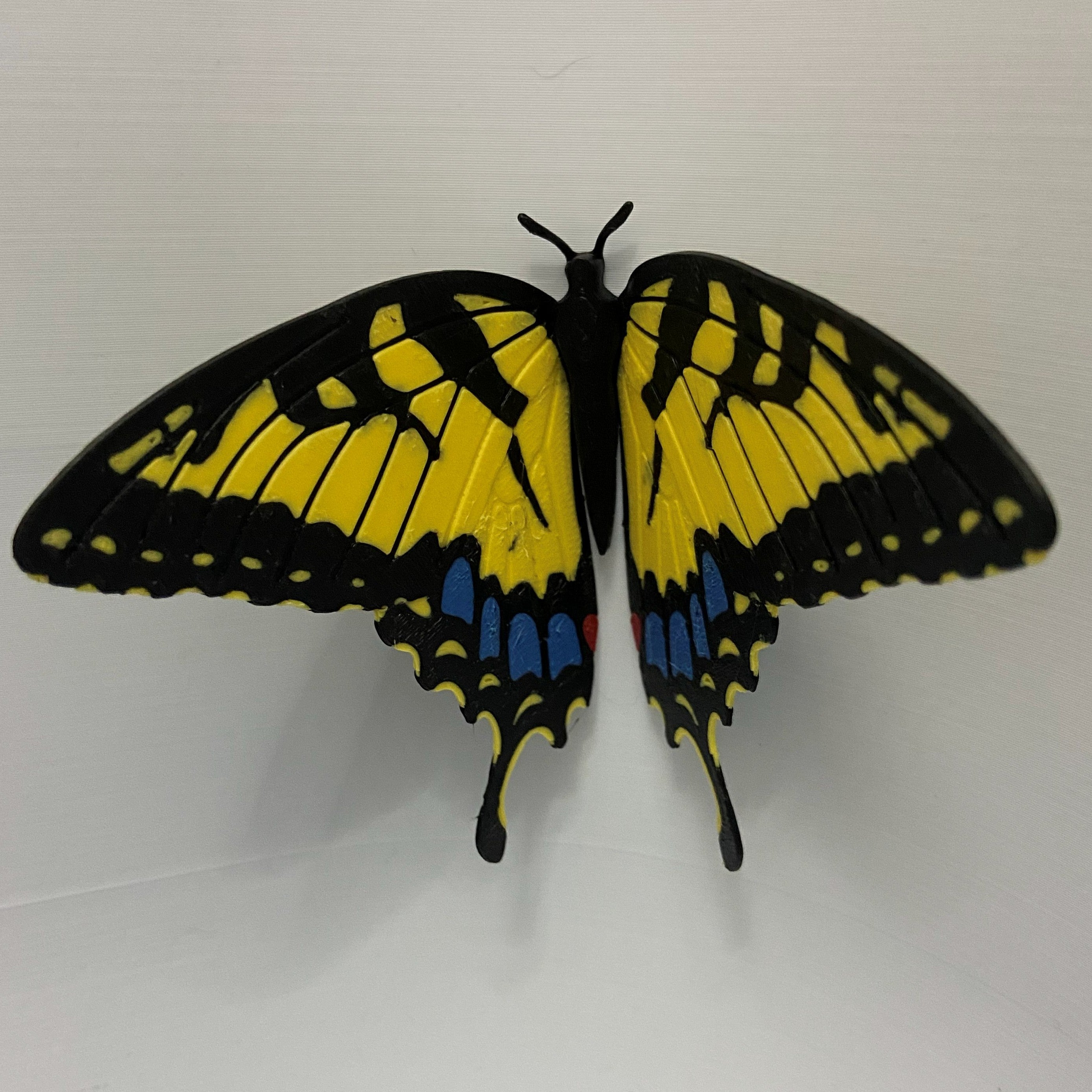 Magnetic Butterflies -3d printed fridge buddies (Set of 6)