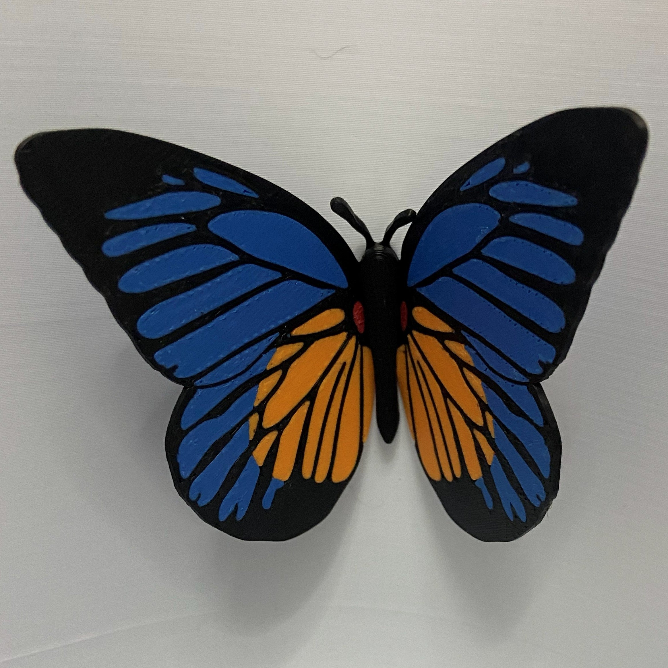 Magnetic Butterflies -3d printed fridge buddies (Set of 6)