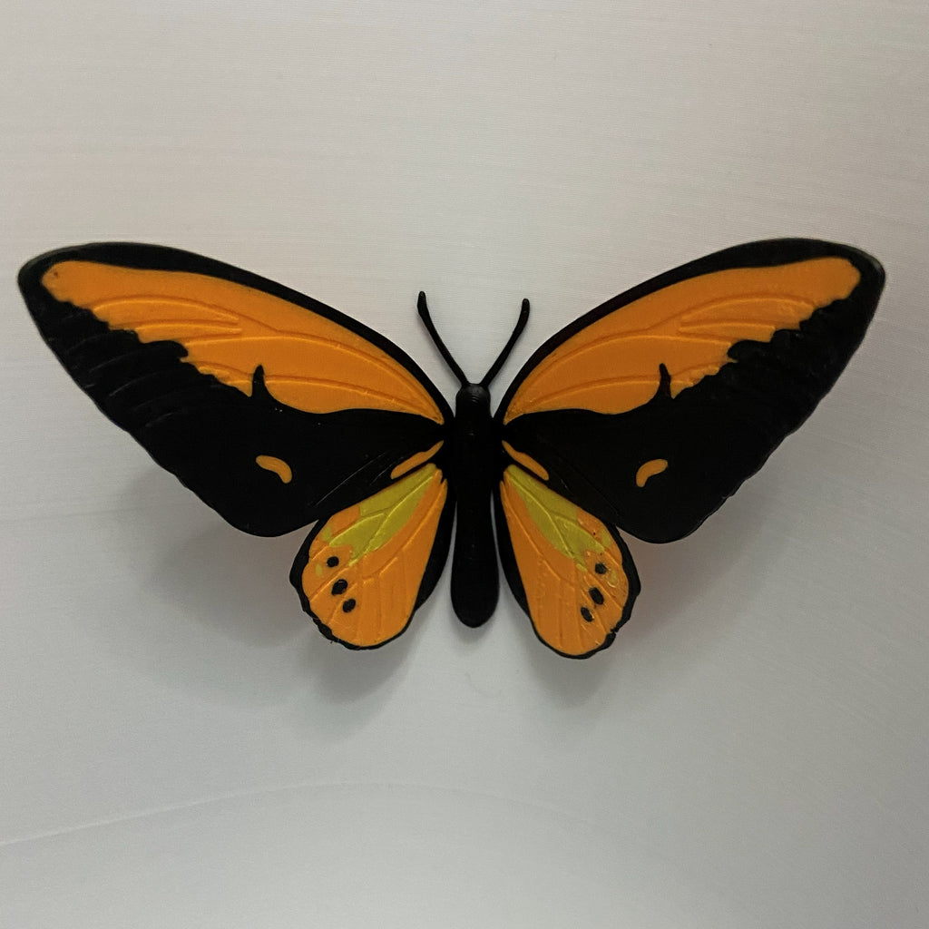 Magnetic Butterflies -3d printed fridge buddies (Set of 6)
