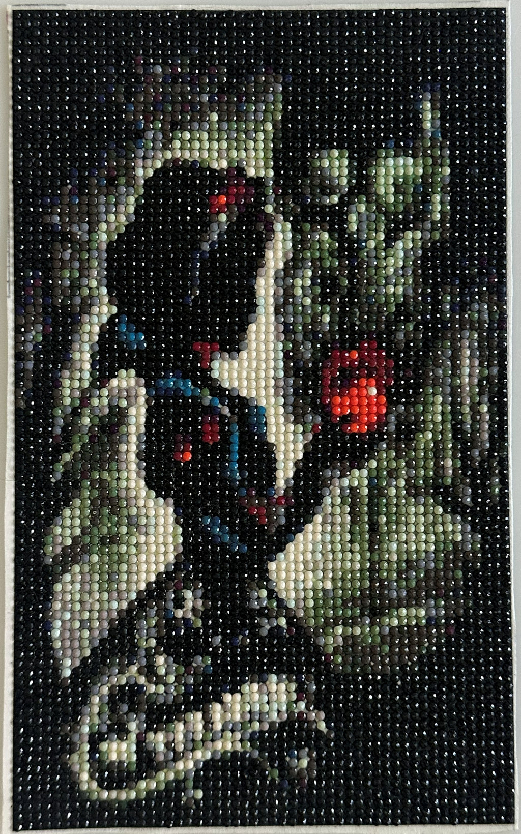 Diamond Paintings