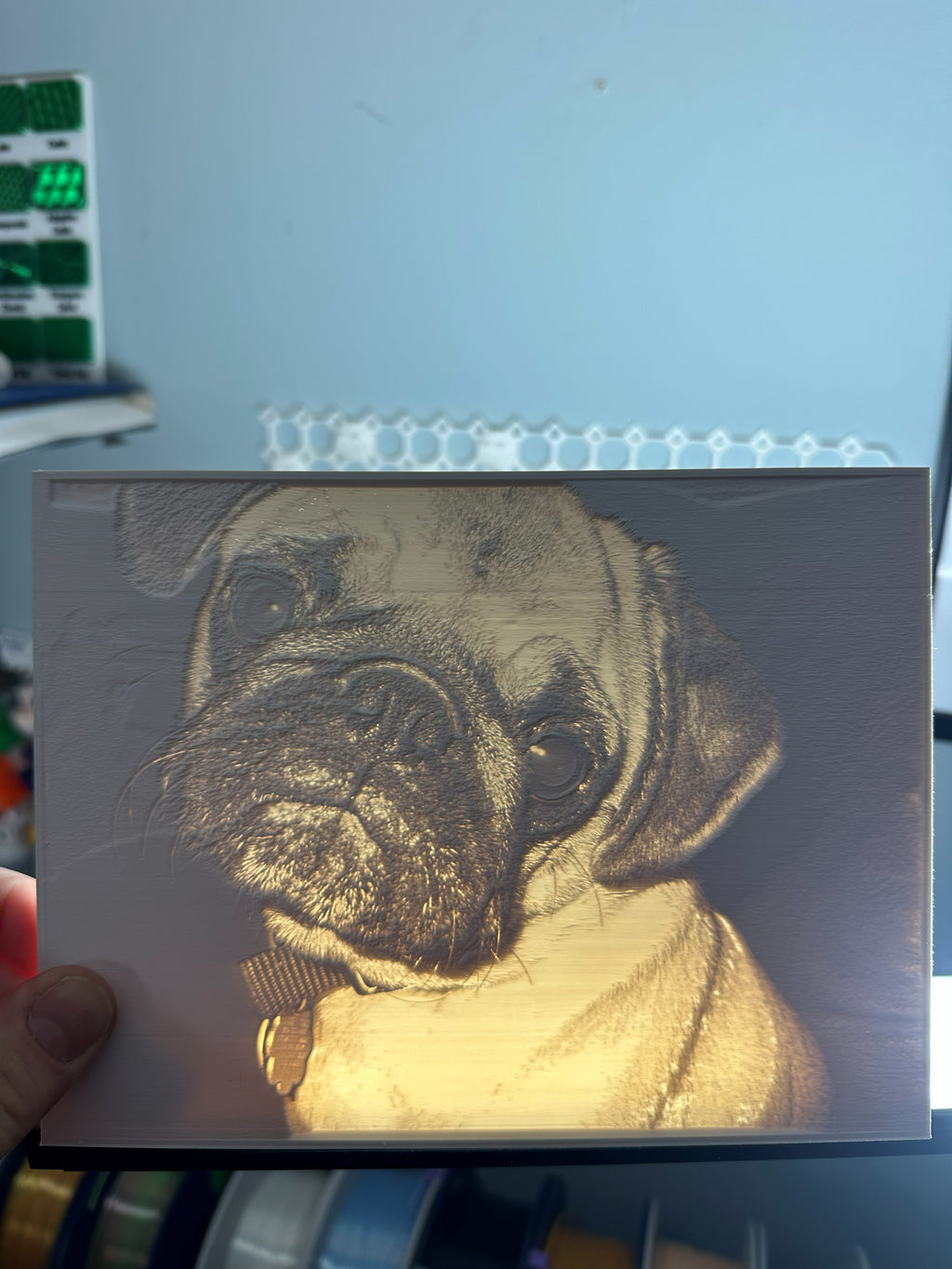 Custom 3D Printed Lithophane