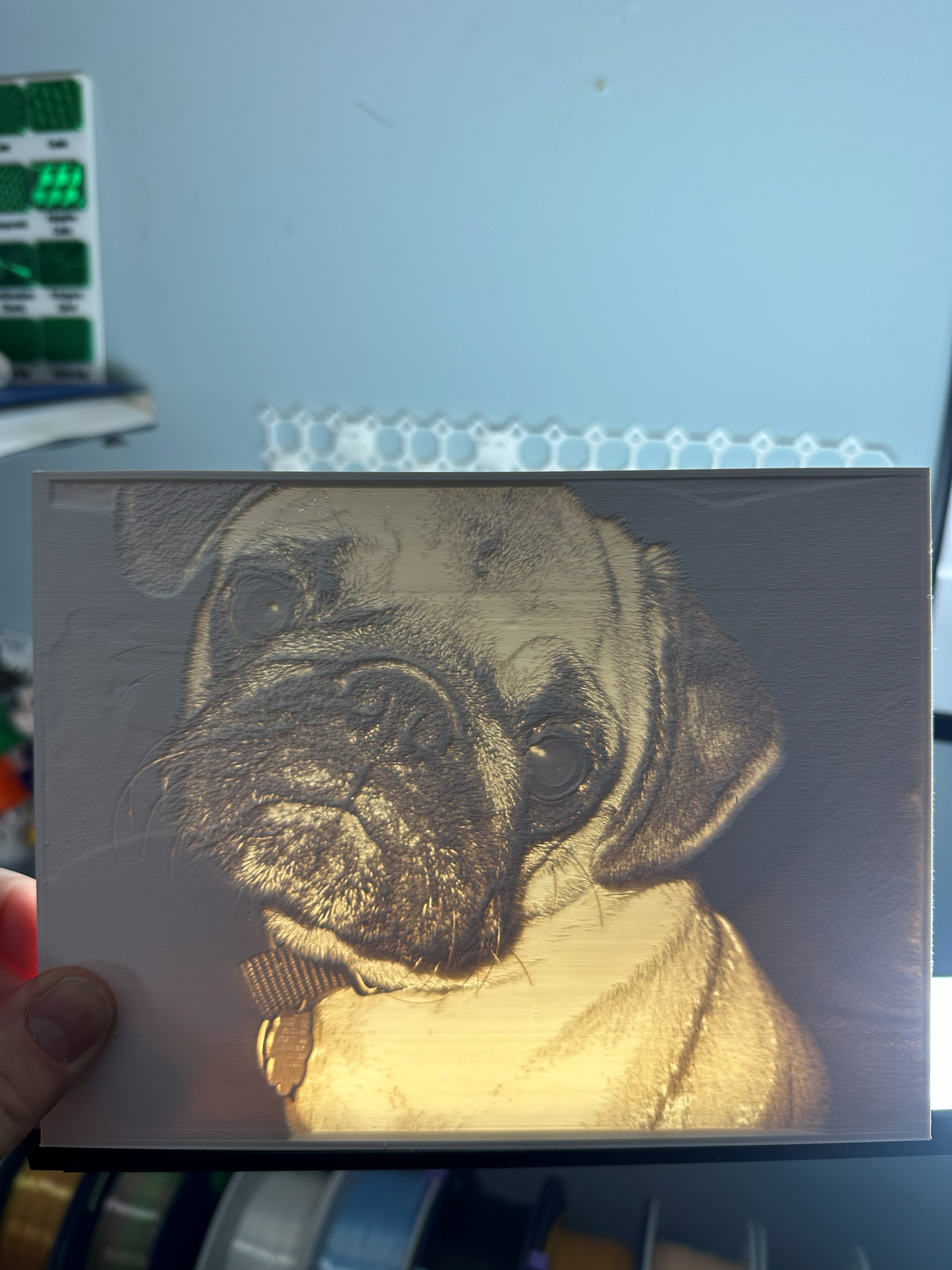 Custom 3D Printed Lithophane