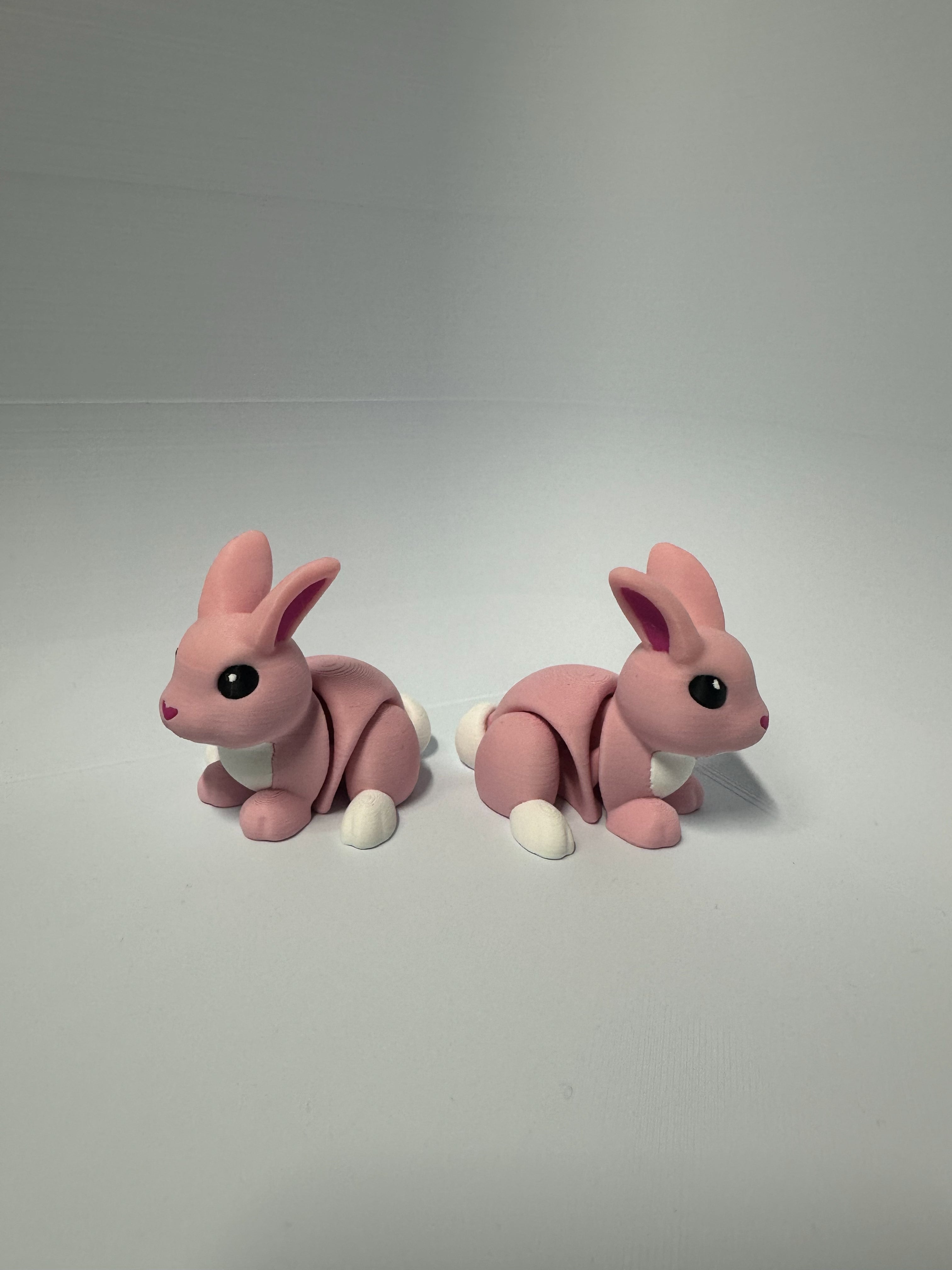 Bunny Fidget Toy