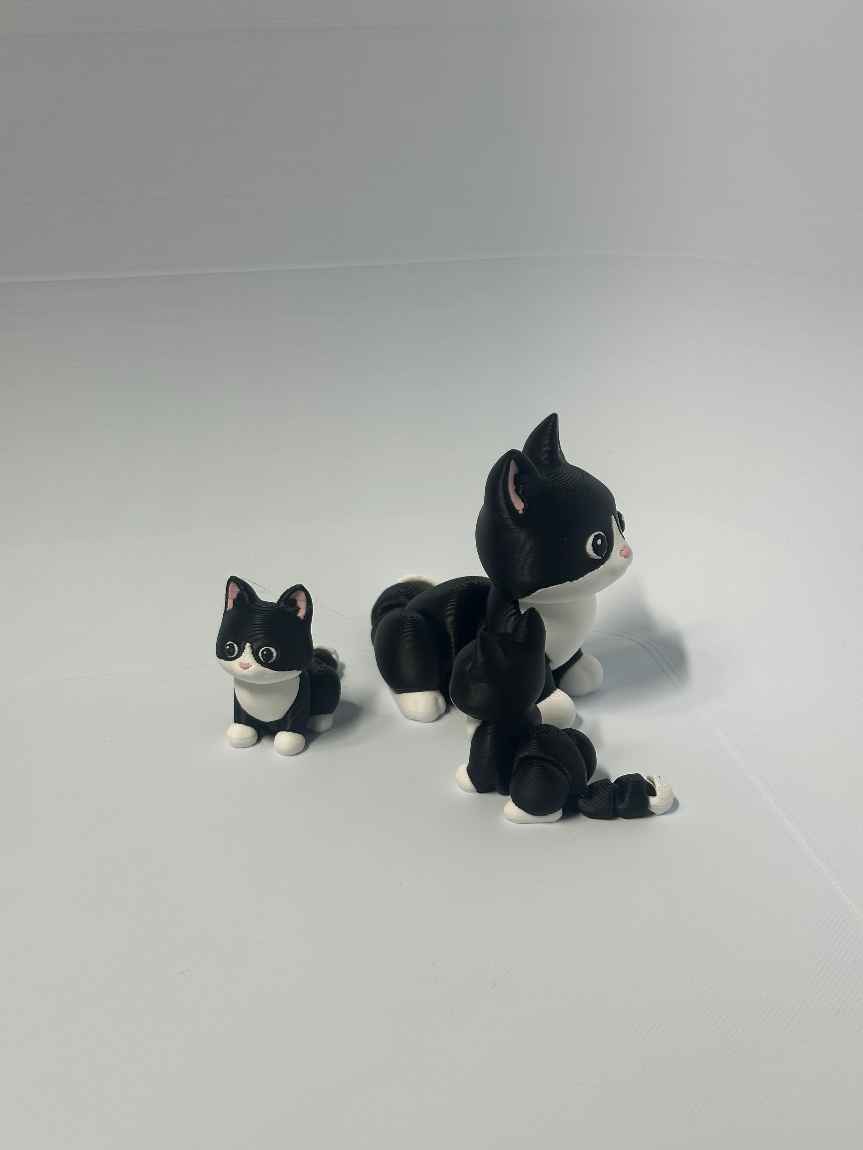 Kitty Cat Fidget Toy