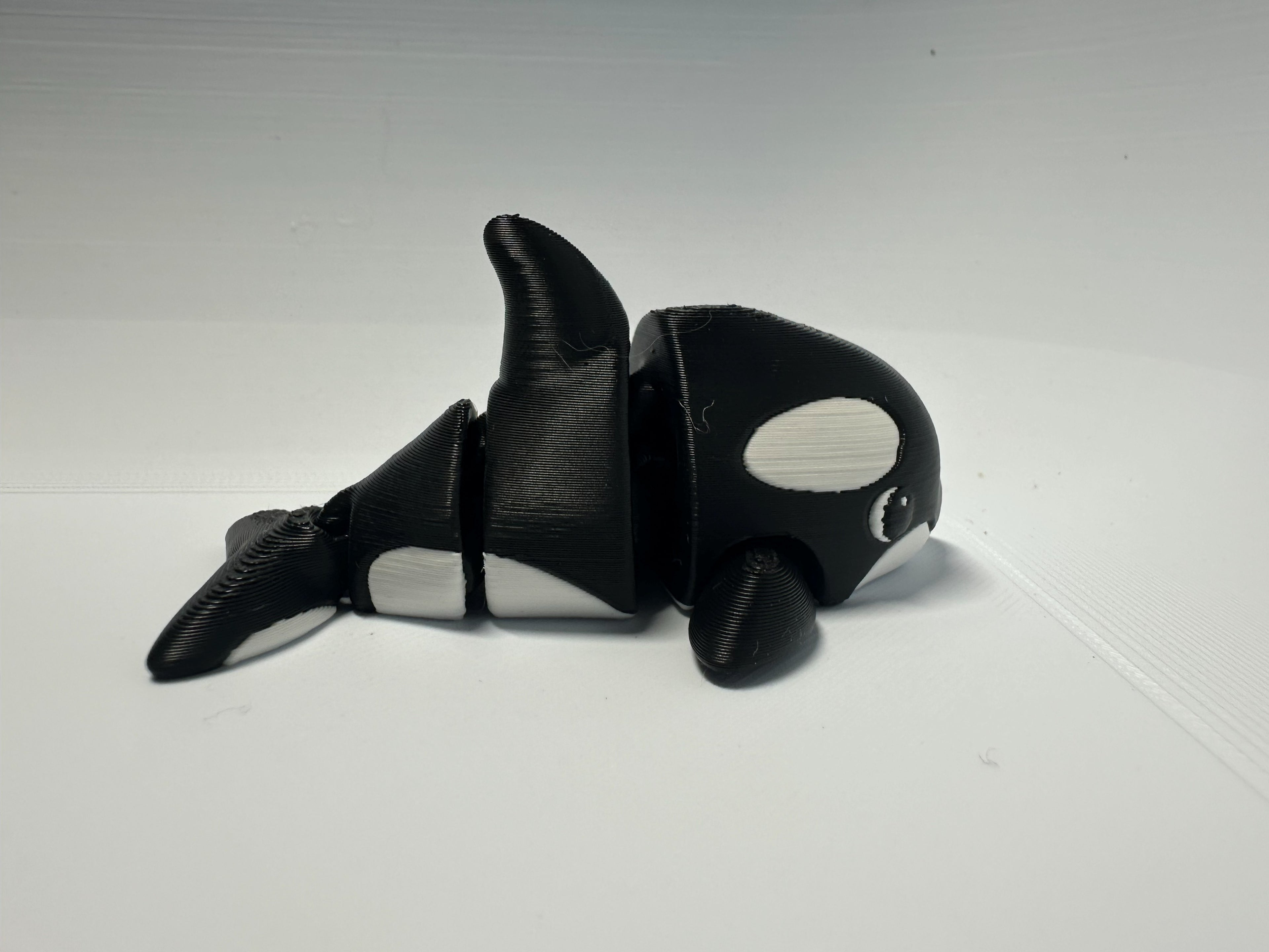 Pocket‑Size Orca Pal