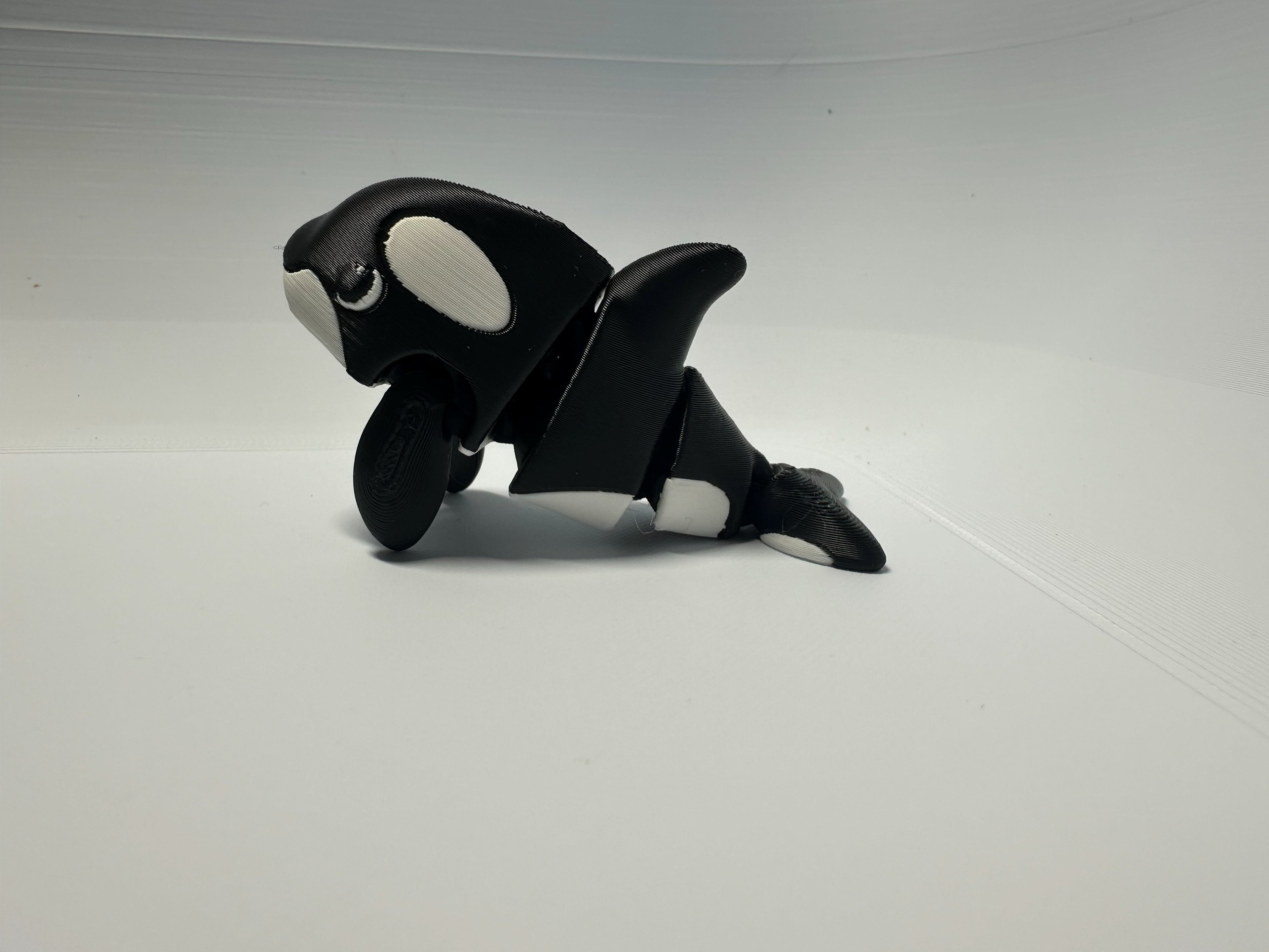 Pocket‑Size Orca Pal