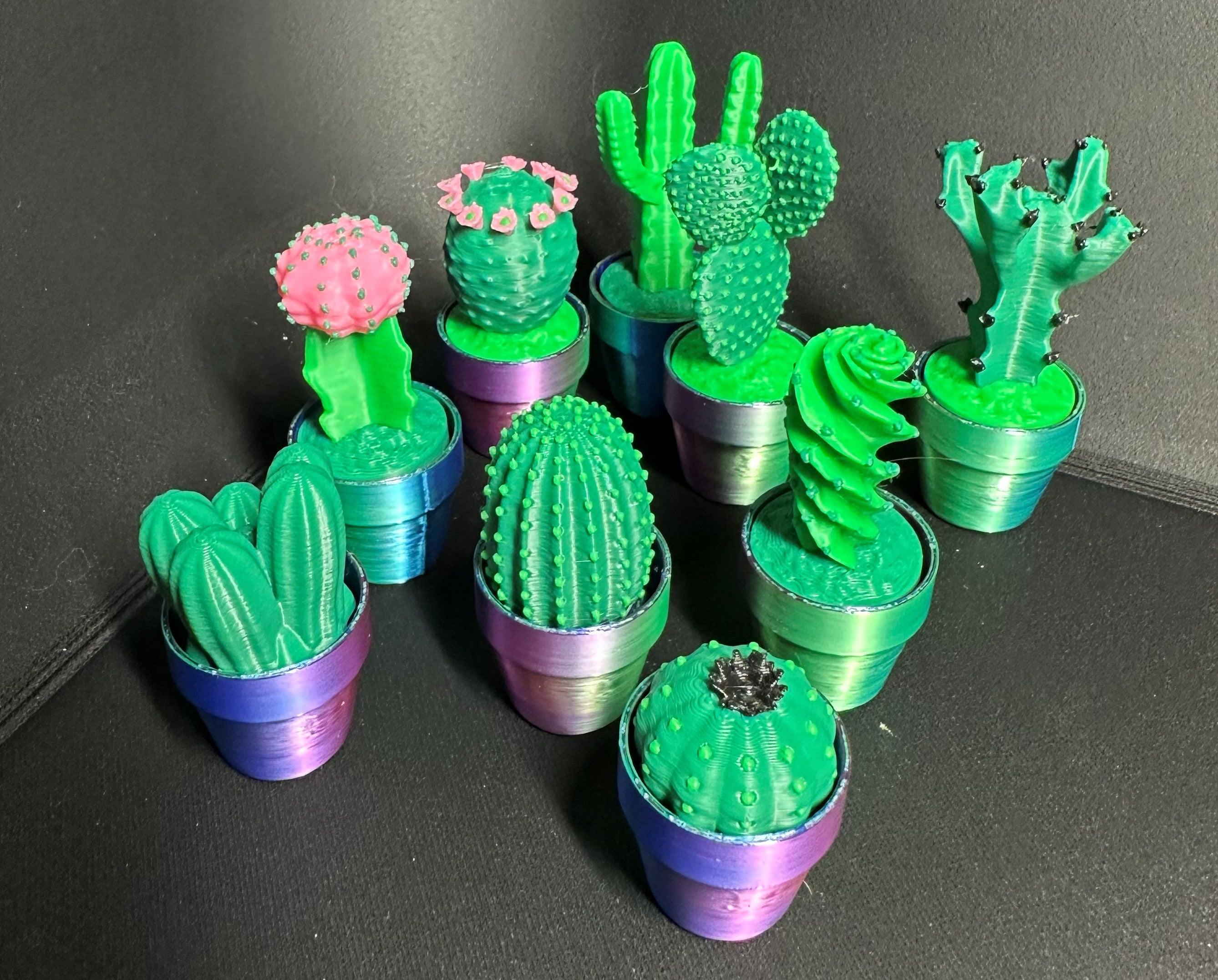 Cute Cactus Succulent Clicker for Work or Home