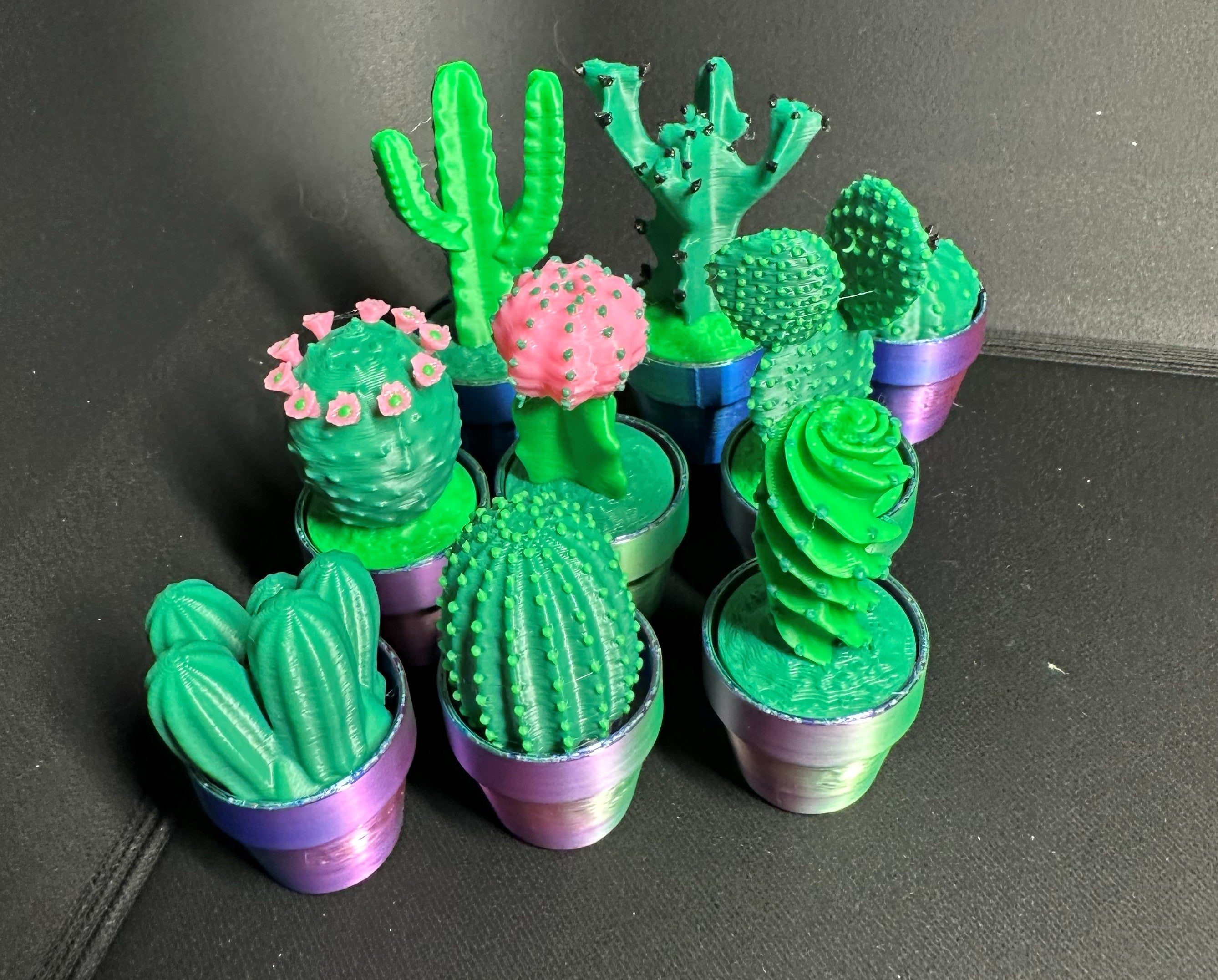 Cute Cactus Succulent Clicker for Work or Home