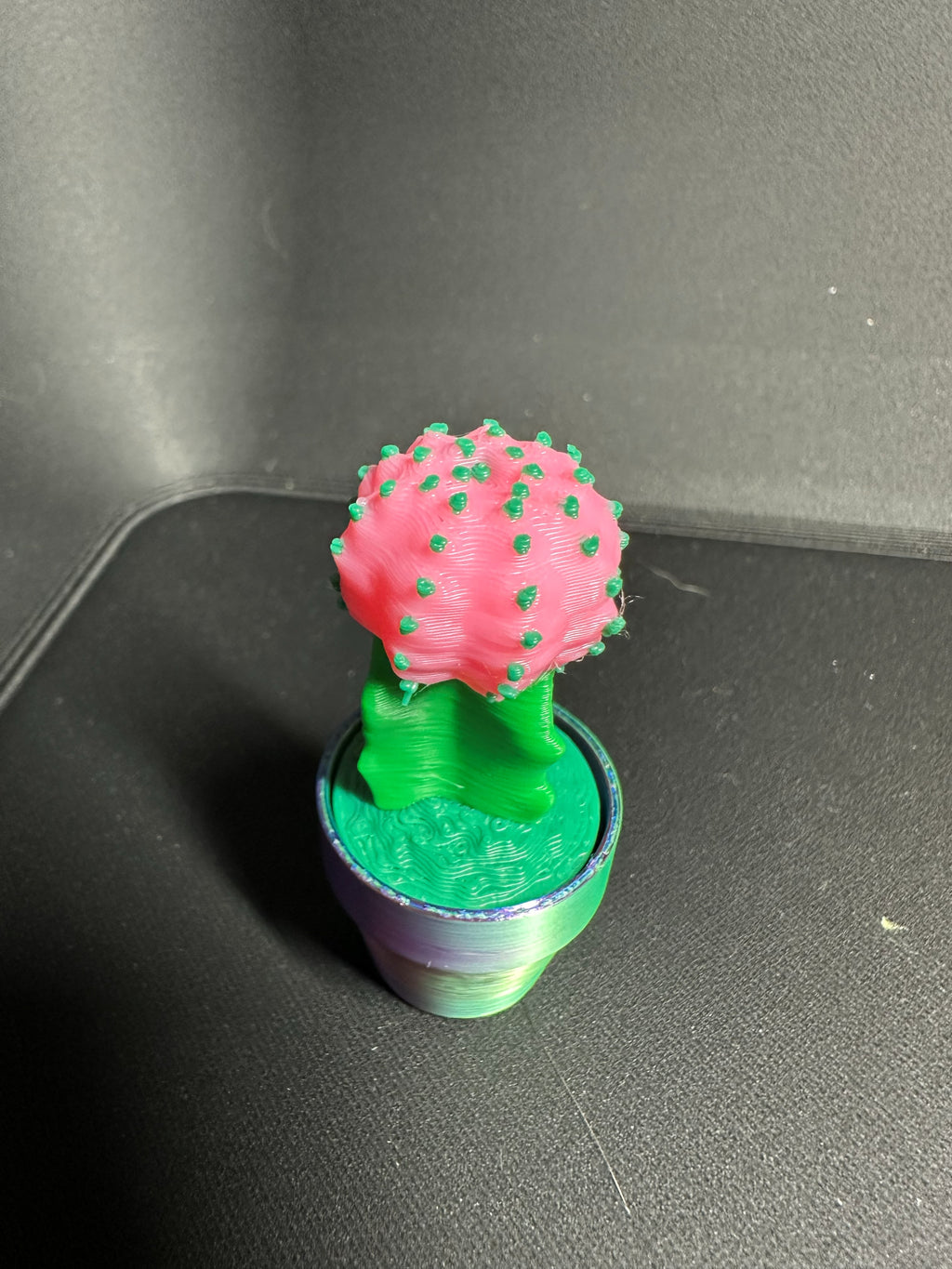Clicky Cacti