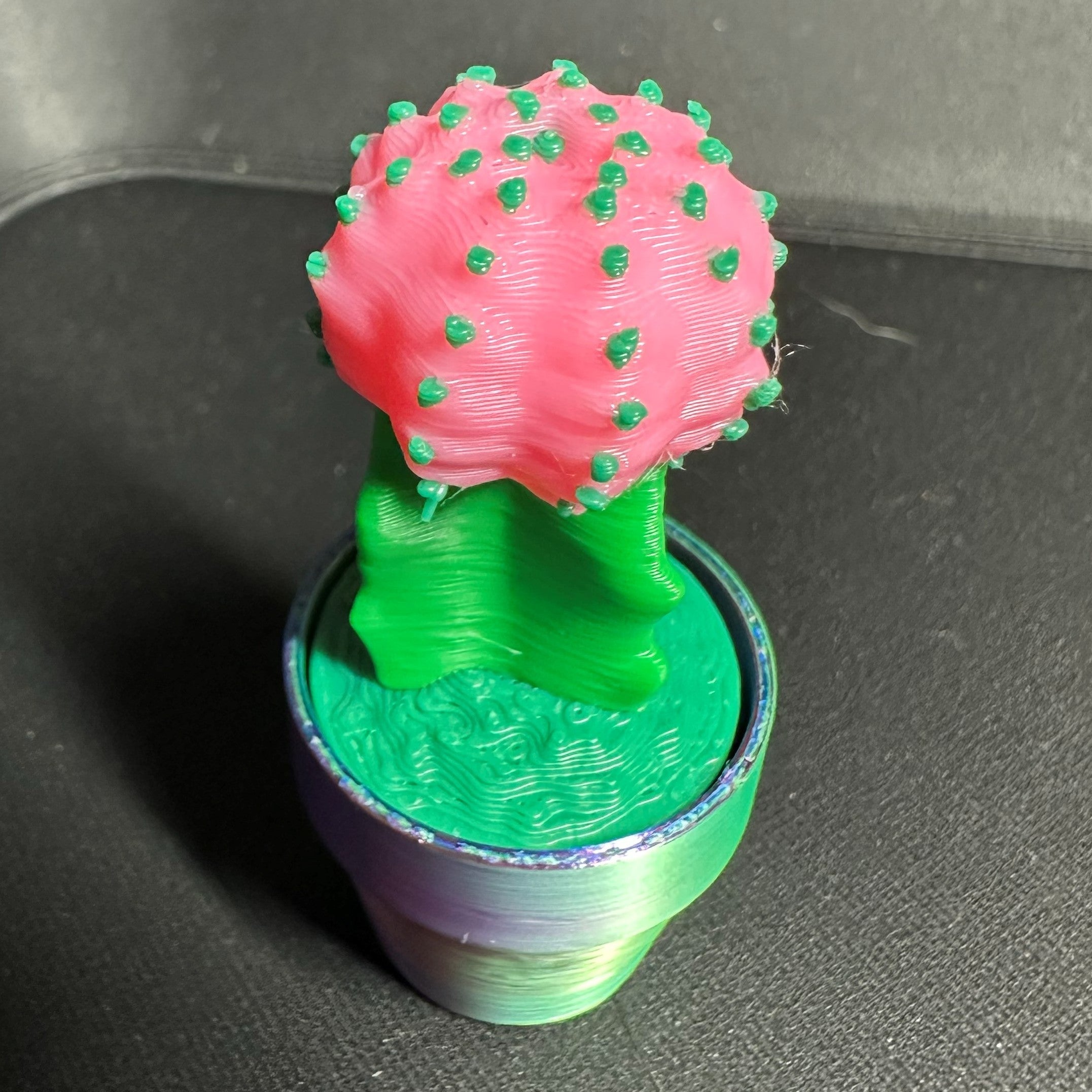 Cute Cactus Clicker -3d Printed Clicker